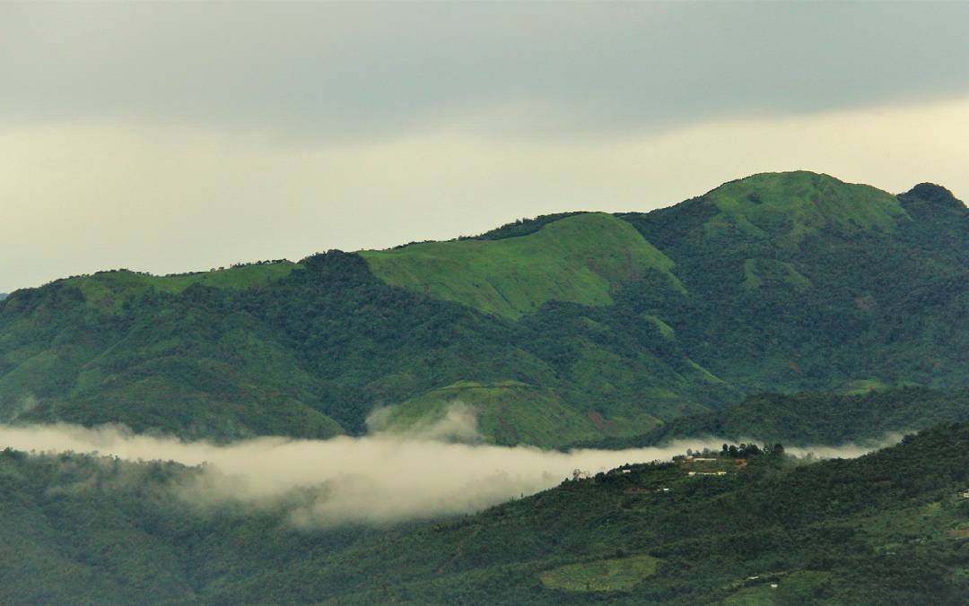 Ukhrul Hills & Shirui Lily Trails Tour